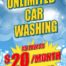 49201_p28x44_unlimited_car_washing_1_2