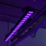 RGBW MAXX PURPLE