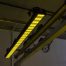 RGBW MAXX YELLOW